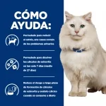 Hills Prescription Diet PD Feline c/d Pescado