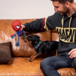 For Fan Pets Juguete para perros Cuerda Spiderman