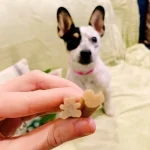 Whimzees Value Snack Dental M/L Para Cachorros de Razas Grandes