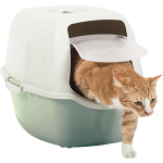 RothoPro Bandeja Higienica para gatos Bailey Verde