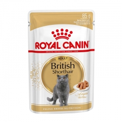 Royal Canin British Shorthair Pouch comida húmeda para gatos