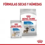 Royal Canin X-Small Light Weight Care pienso para perros minis
