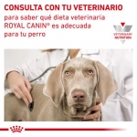 Royal Canin Veterinary Diets Urinary S/O Pack de Comida Húmeda para perros