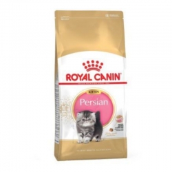 Royal Canin Kitten Persian Pienso para Gatitos