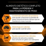 OM lata 195 gr para Gato (6)