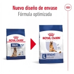 Royal Canin-Maxi Adulto +5 Años Razas Grandes (1)