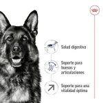 Royal Canin-Maxi Adulto +5 Años Razas Grandes (1)