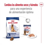 Royal Canin-Maxi Adulto +5 Años Razas Grandes (1)