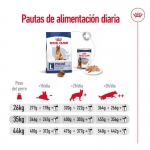 Royal Canin-Maxi Adulto +5 Años Razas Grandes (1)