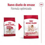 Royal Canin-Medium Adulto Razas Medianas (1)