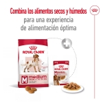 Royal Canin-Medium Adulto Razas Medianas (1)