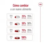 Royal Canin-Medium Adulto Razas Medianas (1)