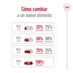 Medium Ageing +10 Años Razas Medianas (1)