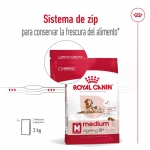 Medium Ageing +10 Años Razas Medianas (1)