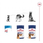 Royal Canin Maxi Ageing +8 pack de sobres para perros