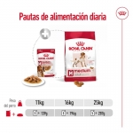 Royal Canin-Medium Adult (Sobre) (1)