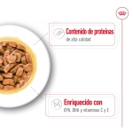 Royal Canin Medium Ageing Sobres Para Perro Senior 10X140G