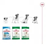 Royal Canin-Mini Adult (1)