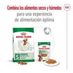 Royal Canin-Mini Adult (1)