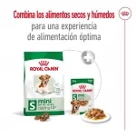 Royal Canin-Mini Ageing +12 Razas Pequeñas (1)