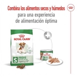 Royal Canin-Mini Ageing +12 Razas Pequeñas (1)