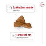 Royal Canin-X-Small Ageing +12 Razas Miniaturas (1)