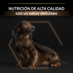 Purina Pro Plan-Duo Delice Mini Pollo (1)