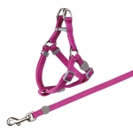 Trixie Set Paseo para gato