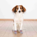 Trixie Calcetines Antideslizantes para perros color gris
