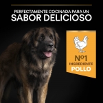 OptiHealth Adulto Robusto Razas Grandes (6)