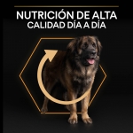 OptiHealth Adulto Robusto Razas Grandes (6)