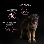 Purina Pro Plan-OptiDerma Adult Large Robust Sensitive Skin (1)
