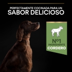 Purina Pro Plan-Opti Digest Adult Athletic Cordero (1)