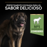 Purina Pro Plan-Opti Digest Adult Robust Cordero (1)