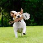 ForFanPets juguete para perros Mordedor Martillo Thor