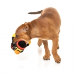 FuzzYard peluche para perros Quackie Chan