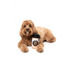 FuzzYard peluche para perros Puppuccino