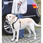 Trixie Correa correa para perros Corta Universal