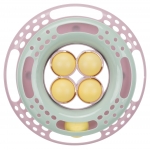 Trixie Circle para gatitos