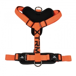 Nayec Arnes para perros X-TRM Cronos Neon Flash Naranja