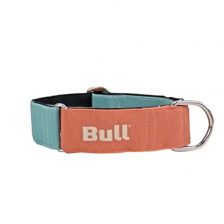 Bull Dog Collar Galgo Naranja-Turquesa