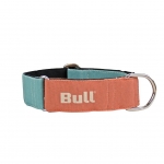 Bull Dog Collar Galgo Naranja-Turquesa