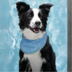 Freedog Bandana Refrescante para Perros