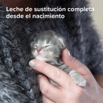 Beaphar Lactol Kitten Milk Leche en Polvo para Gatitos