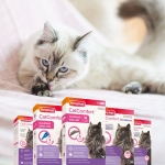 Beaphar CatComfort Collar para Gatos 35 cm