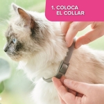 Beaphar CatComfort Collar para Gatos 35 cm