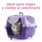 Beaphar CatComfort Spray Viaje Calmante para Gatos 30 ml