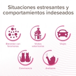 Beaphar CatComfort Spray Viaje Calmante para Gatos 30 ml