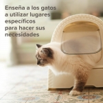 Beaphar Cat Trainer Educador para Gatos y Gatitos 10 ml