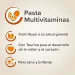Beaphar Pasta Multi-Vitaminas para Gatos 100gr